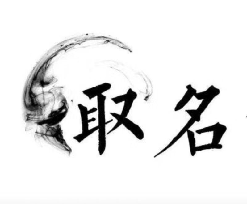  泸定宝宝取名 大师一对一人工起名